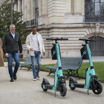 Pavement Scooters Category