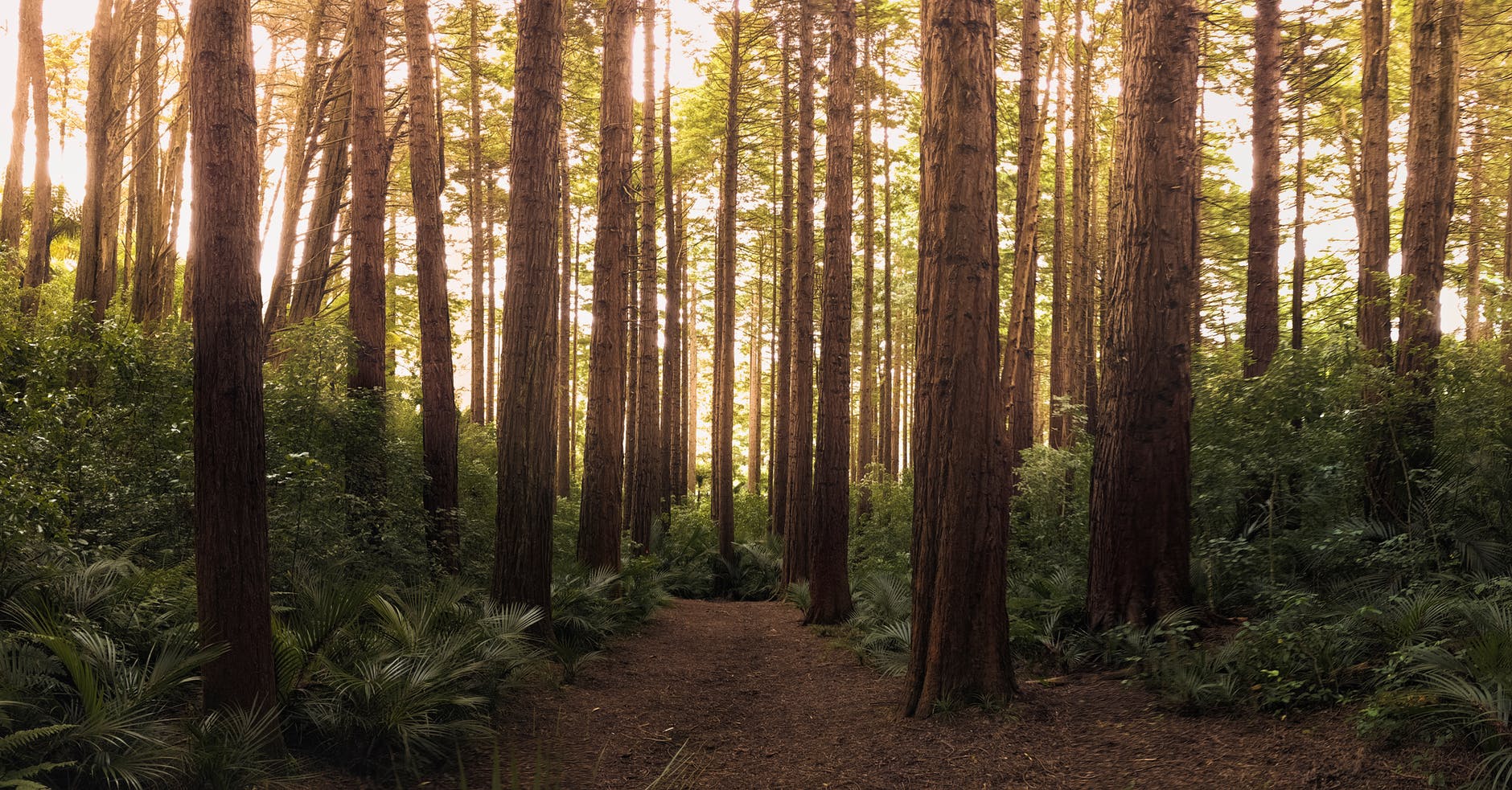 Accessible Walks in Hampshire