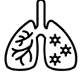 Cardiovascular and Respiratory Bed